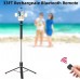 JMGRTYT Selfie Stick Tripod with 2 Fill Lights, 71 Inch 180cm Extendable and Portable Selfie Stick with Detachable Wireless Remote Compatible with iPhone 16 15 14 13 12 11/Smartphones
